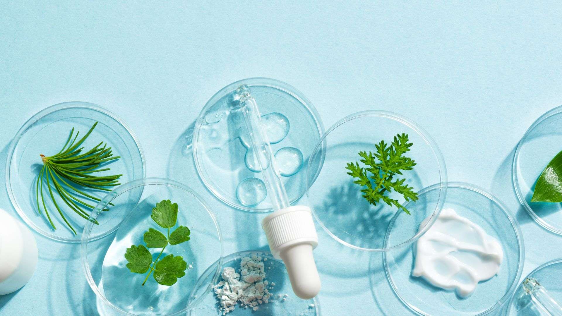 The Rise of Clean Beauty: How Finally All Natural Is Leading the Movement - Finally All Natural