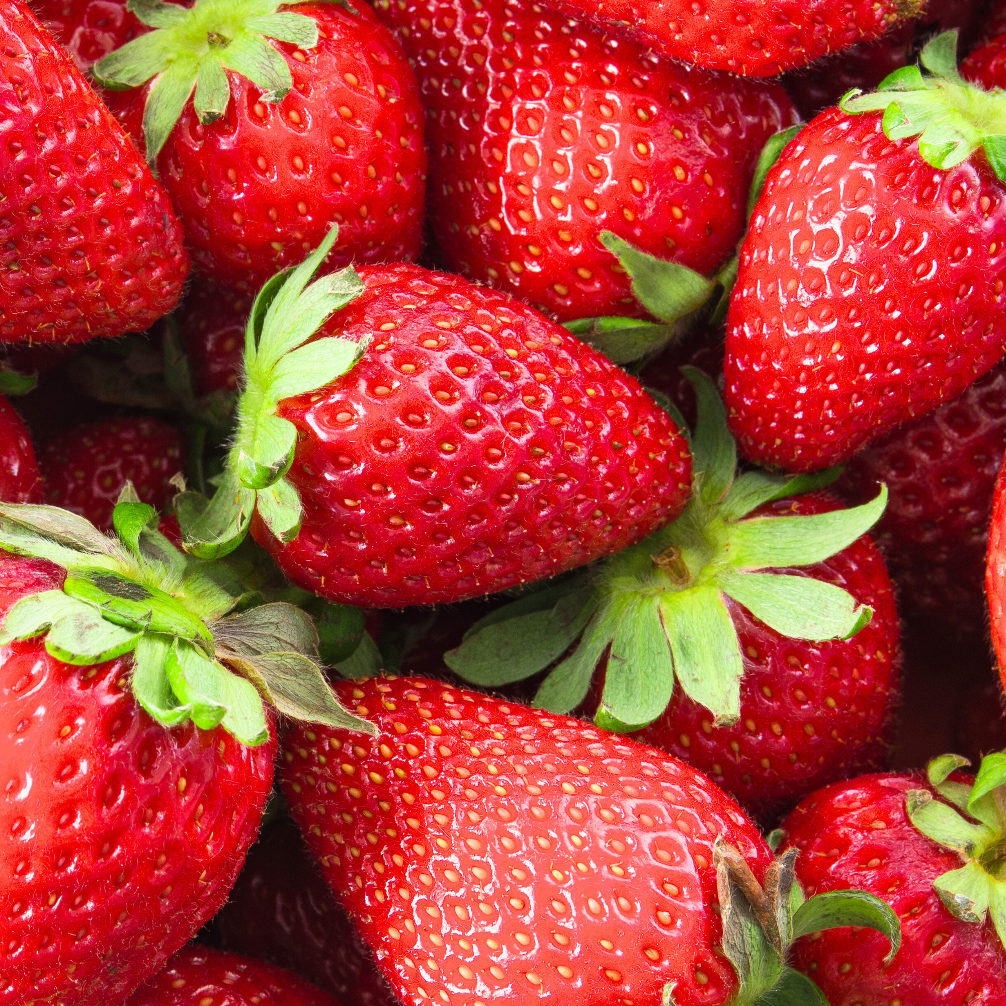 Strawberry Seed Oil
