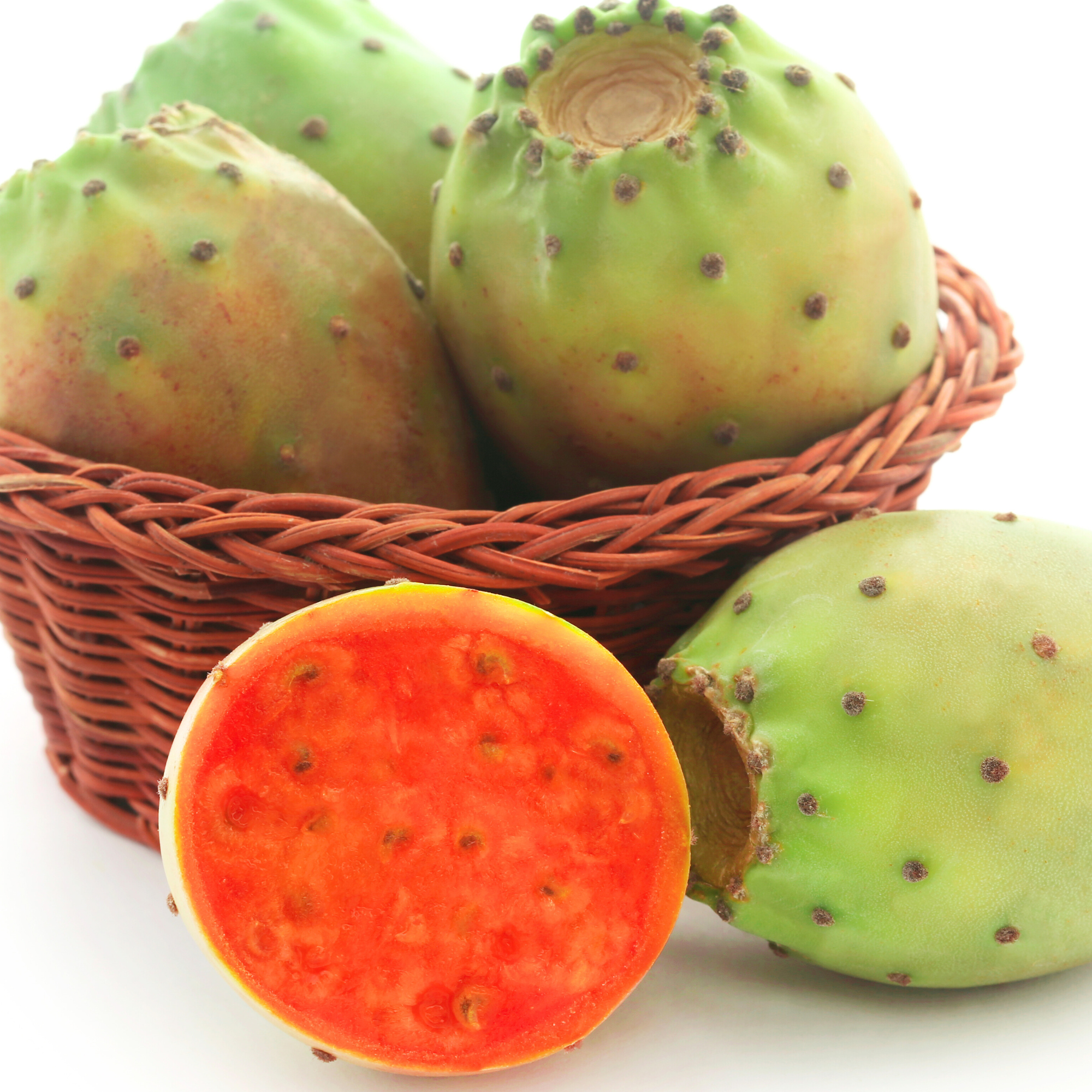 Prickly Pear Seed Oil