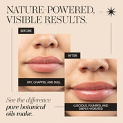 Antioxidant Lip Oil - My Store