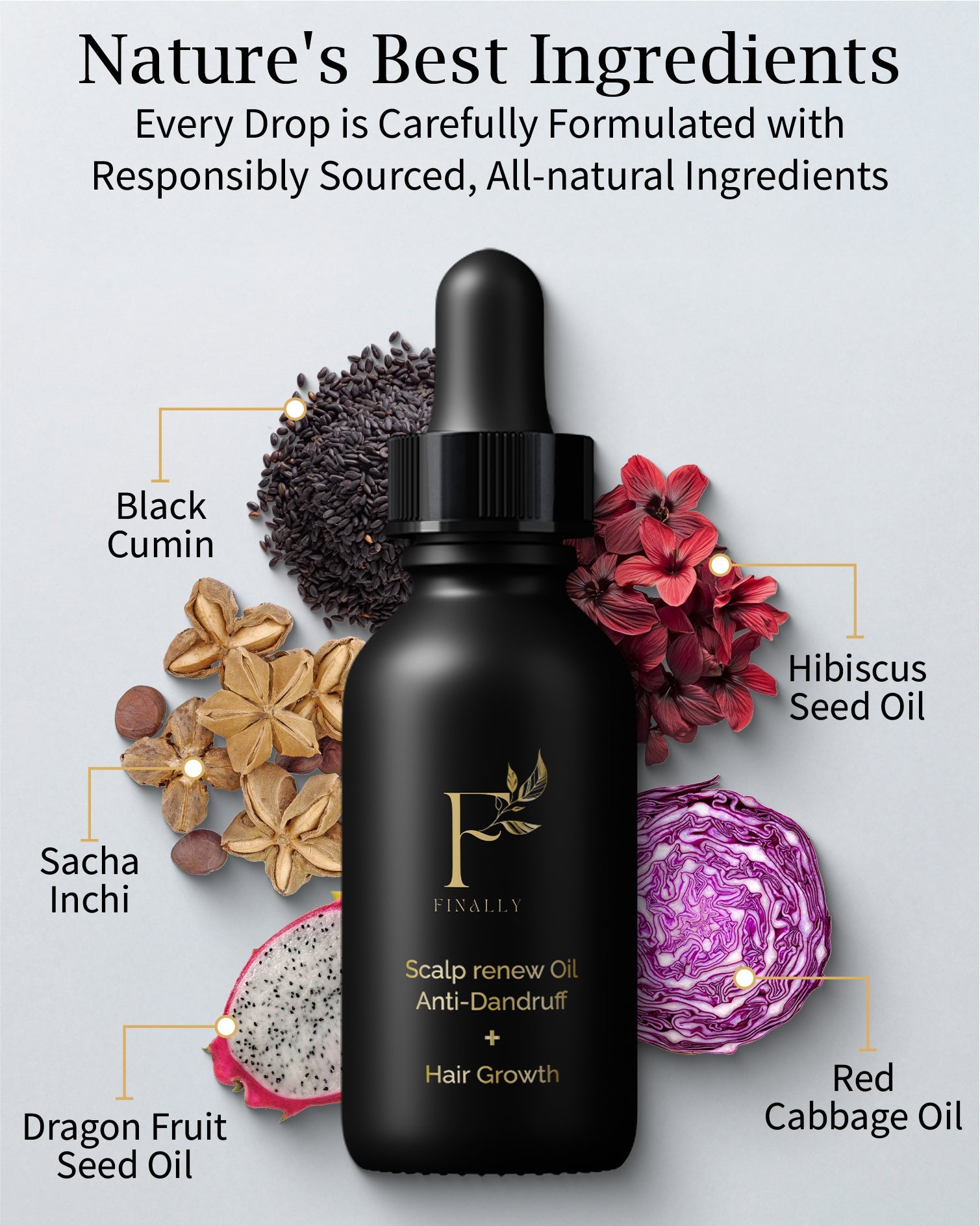 organic hibiscus oil for hair