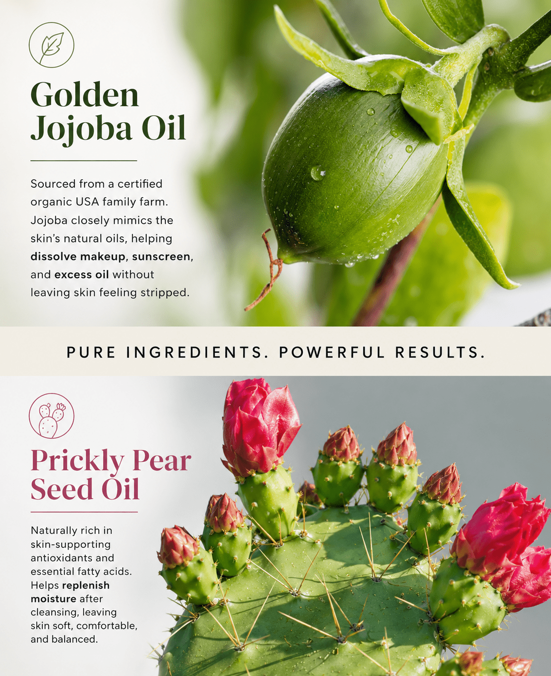 Organic Moisturizing Makeup Remover Oil - Finally All Natural